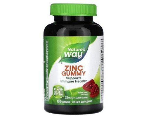 Nature's Way, Zinc Gummies, Mixed Berry, 120 Gummies (11 mg per Gummy)