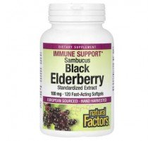 Natural Factors, Sambucus Black Elderberry, 100 mg, 120 Fast-Acting Softgels