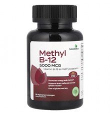 Futurebiotics, Methyl B-12, Cherry, 5,000 mcg, 90 Vegetarian Lozenges
