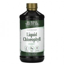 Buried Treasure, Liquid Chlorophyll, Spearmint, 16.54 fl oz (496 ml)