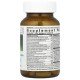 Innate Response Formulas, Women's One Daily, 60 Tablets