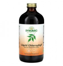 Dynamic Health, Liquid Chlorophyll, Natural Spearmint, 16 fl oz (473 ml)
