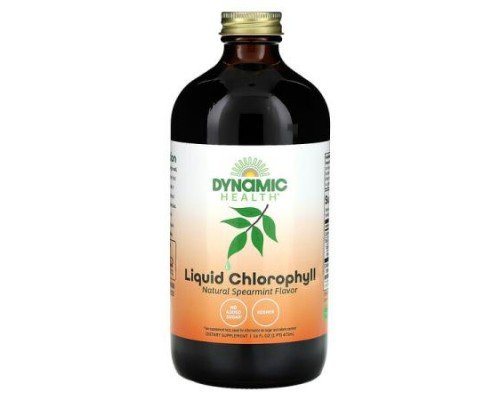 Dynamic Health, Liquid Chlorophyll, Natural Spearmint, 16 fl oz (473 ml)