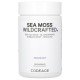 Codeage, Sea Moss, Wildcrafted, 120 Capsules