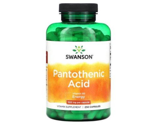 Swanson, Pantothenic Acid, 500 mg, 250 Capsules
