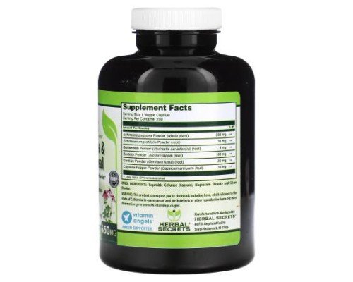 Herbal Secrets, Echinacea & Goldenseal, 450 mg , 250 Veggie Capsules