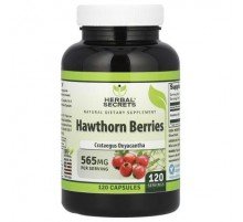 Herbal Secrets, Hawthorn Berries, 565 mg, 120 Capsules