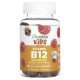 Lifeable, Kids Vitamin B12 Gummies, Natural Raspberry, 60 Gummies (500 mg per Gummy)