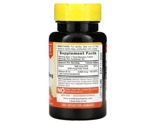 Sundance Vitamins, Fast Dissolve B-12 + Folic Acid, Natural Berry, 60 Fast Dissolve Tablets