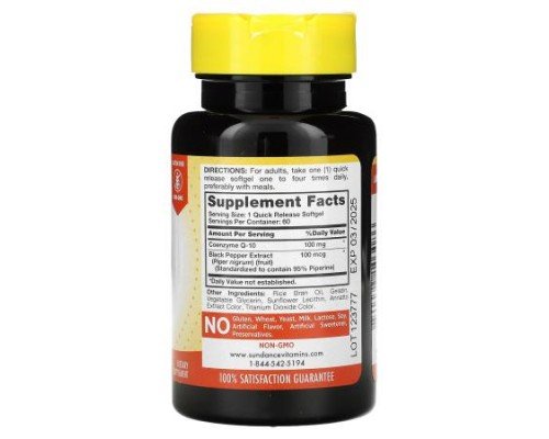 Sundance Vitamins, Absorbable CoQ10, 100 mg, 60 Quick Release Softgels