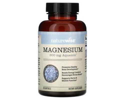 NatureWise, Magnesium, 90 Softgels (100 mg per Softgel)