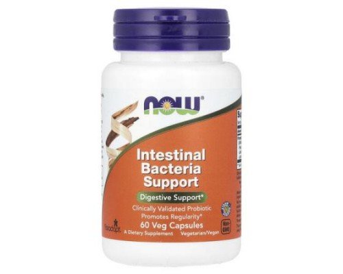 NOW Foods, Intestinal Bacteria Support, 60 Veg Capsules