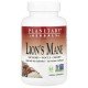 Planetary Herbals, Lion's Mane, 60 Vegan Capsules (500 mg per Capsule)