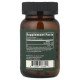 Global Healing, Plant-Based Iron, 60 Capsules