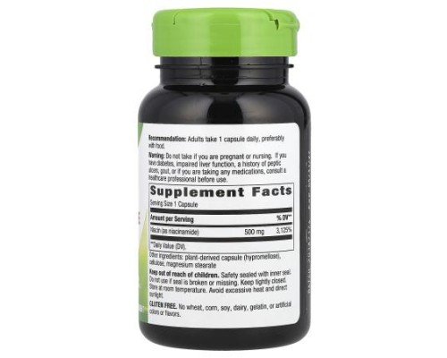 Nature's Way, Niacinamide, Non-Flushing, 500 mg, 100 Capsules