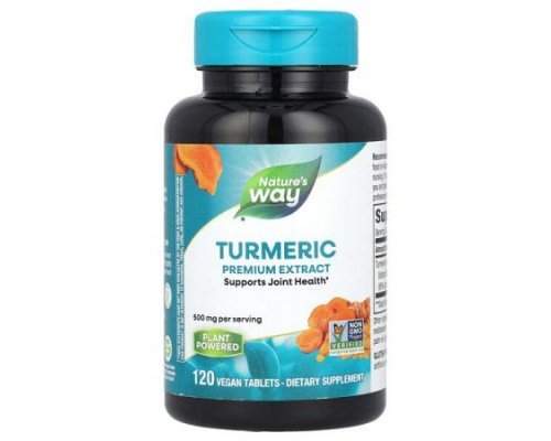 Nature's Way, Turmeric, Premium Extract, 500 mg, 120  Vegan Tablets