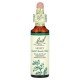Bach, Original Flower Remedies, Holly, 0.7 fl oz (20 ml)