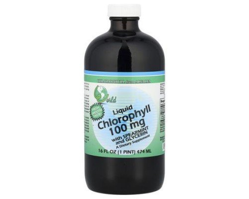 World Organic, Liquid Chlorophyll with Spearmint and Glycerin, 100 mg, 16 fl oz (474 ml)