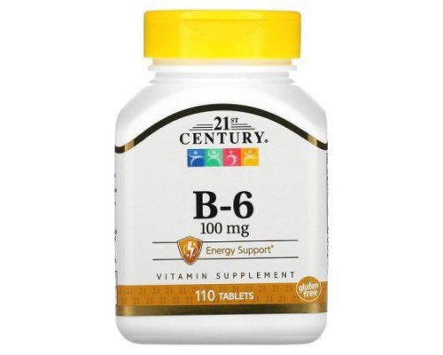 21st Century, B-6, 100 mg, 110 Tablets