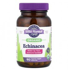 Oregon's Wild Harvest, Organic Echinacea, 90 Organic Vegan Capsules