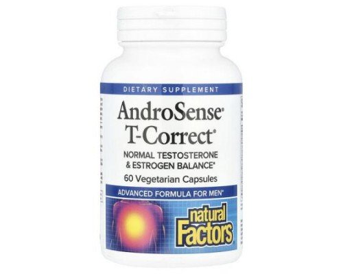 Natural Factors, AndroSense® T-Correct, 60 Vegetarian Capsules