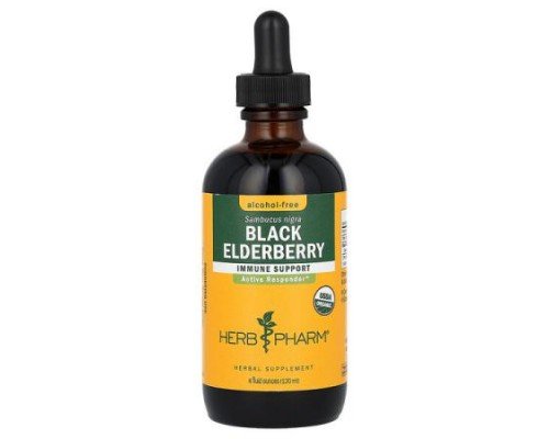 Herb Pharm, Black Elderberry, Alcohol-Free, 4 fl oz (120 ml)