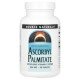 Source Naturals, Ascorbyl Palmitate, 500 mg, 90 Tablets