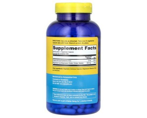 Nature's Life, Renewing Magnesium, 500 mg, 250 Capsules